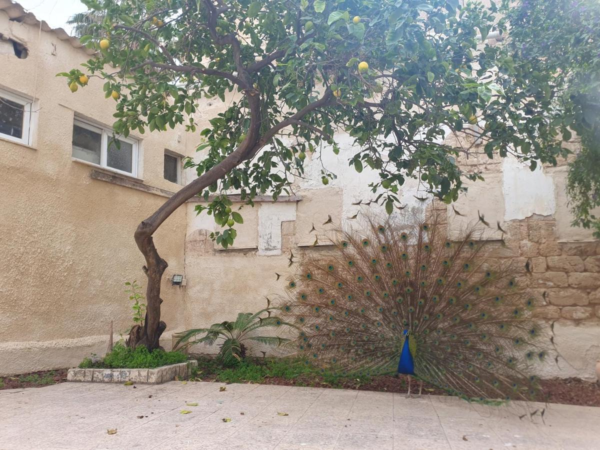 Villa הסמטה של יפו Tel Aviv-Jaffa Exterior foto